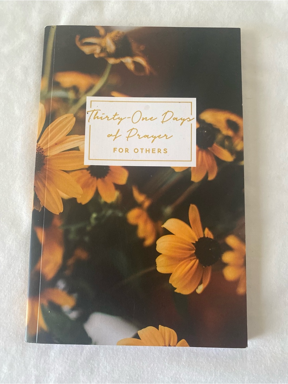 The Daily Grace Co. Thirty-One Days of Prayer for Others Paperback 2022 ISBN